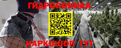 сатива Канаш