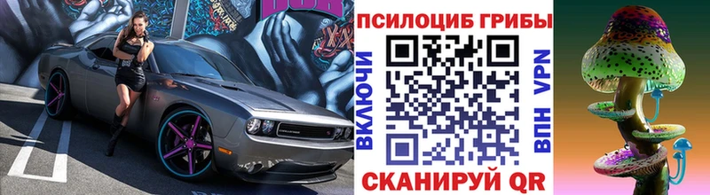 наркотики  Муравленко  ссылка на мегу ТОР  Псилоцибиновые грибы Psilocybe 