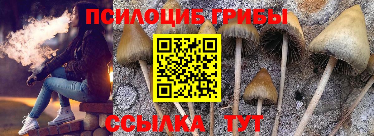 Галлюциногенные грибы ЛСД Муравленко