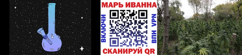 omg ССЫЛКА  продажа наркотиков  Муравленко  Конопля сатива 
