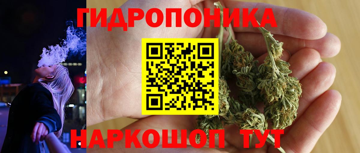Каннабис White Widow Муравленко